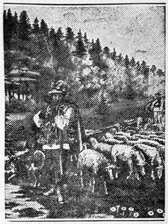 Rusyn shepherd